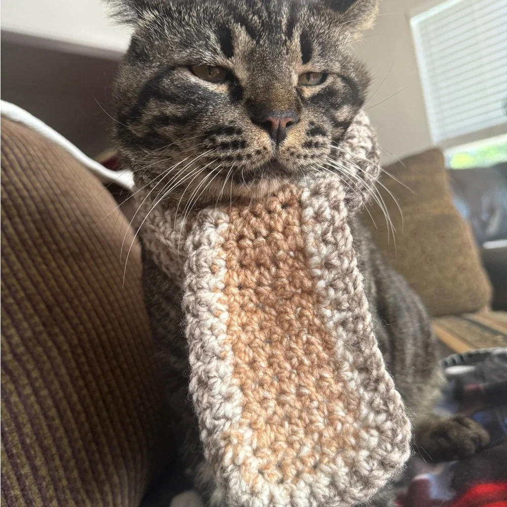 Cozy Knit Scarf Cat / Small Dog Scarf in Brown and Tan